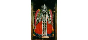 புன்னை நல்லூர் மாரியம்மன் - தமிழ்நாடு